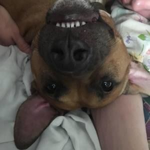 Meet your Posher, Patrick